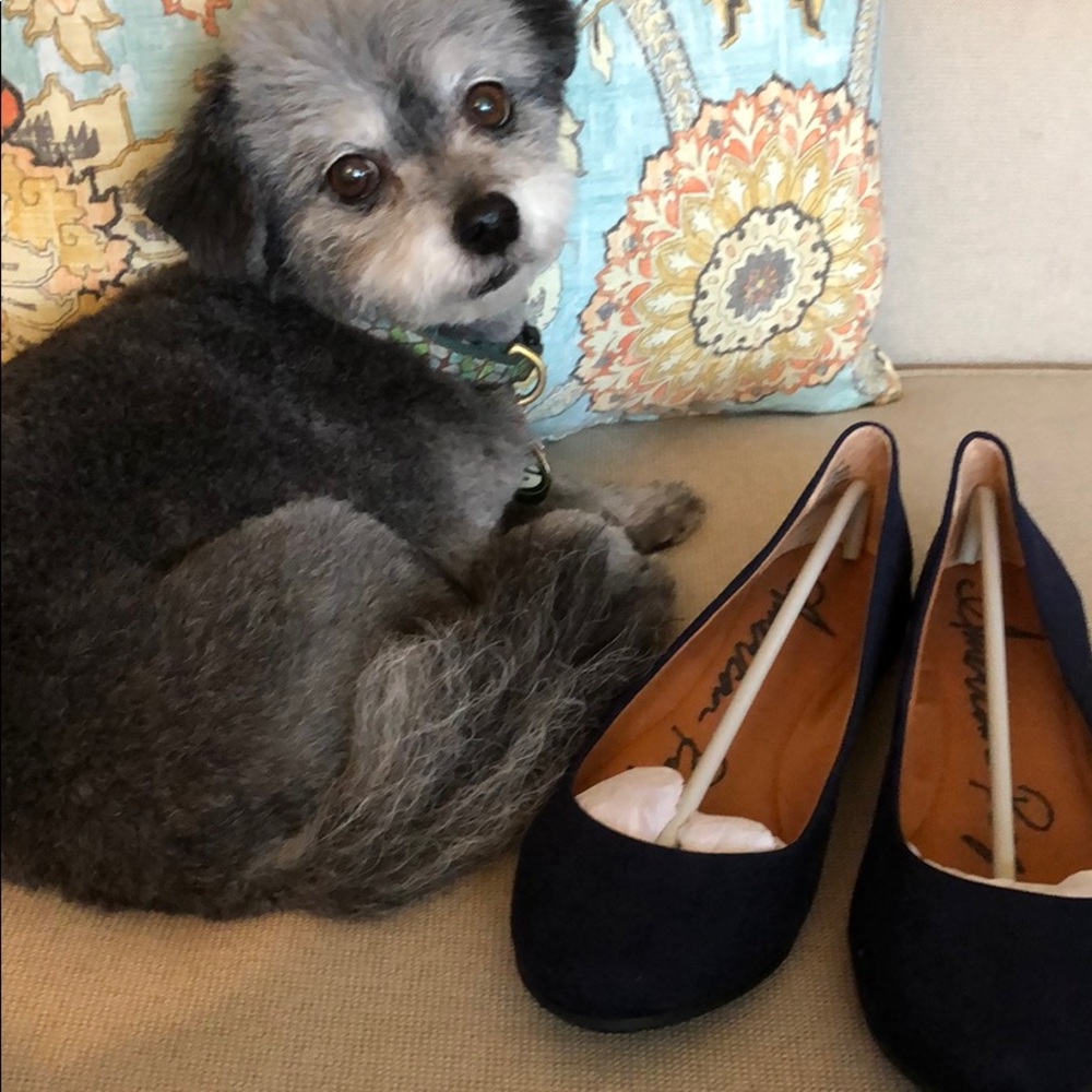American Rag Navy Blue Flats
